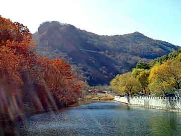 澳门天天彩期期精准平肖，务川仡佬族苗族自治平坝关键词优化